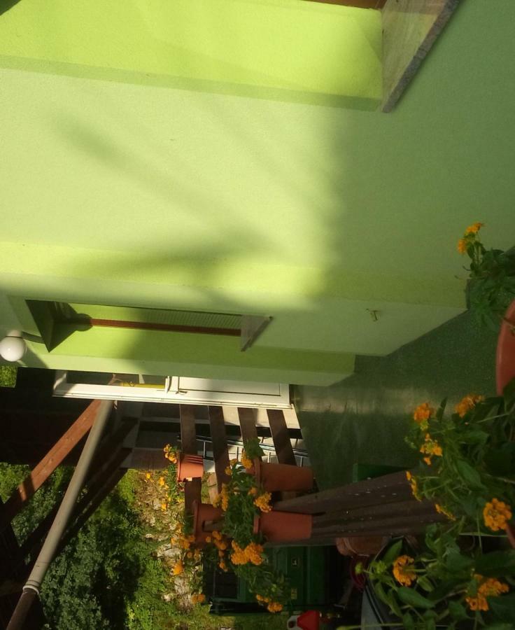 Apartma Juha - Breg pri Borovnici Kültér fotó